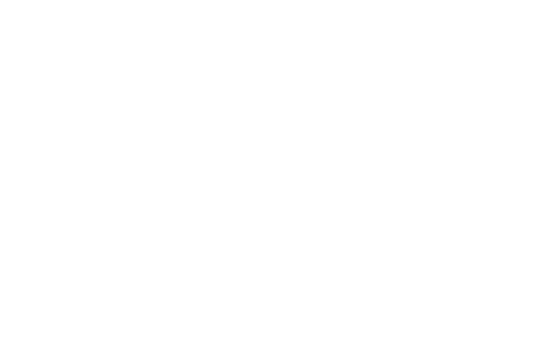 Werner Ladder