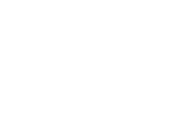 Winland Foods