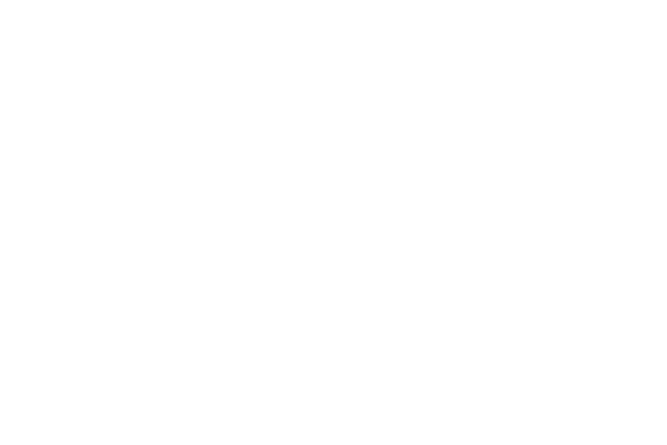 GoNetspeed
